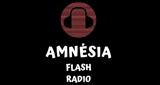 Amnesia Flash Radio