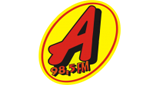 Rádio Ação FM