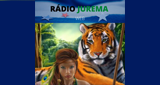 Rádio Jurema